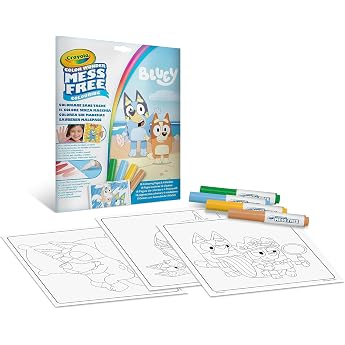 Color Wonder Painting Fun Bluey