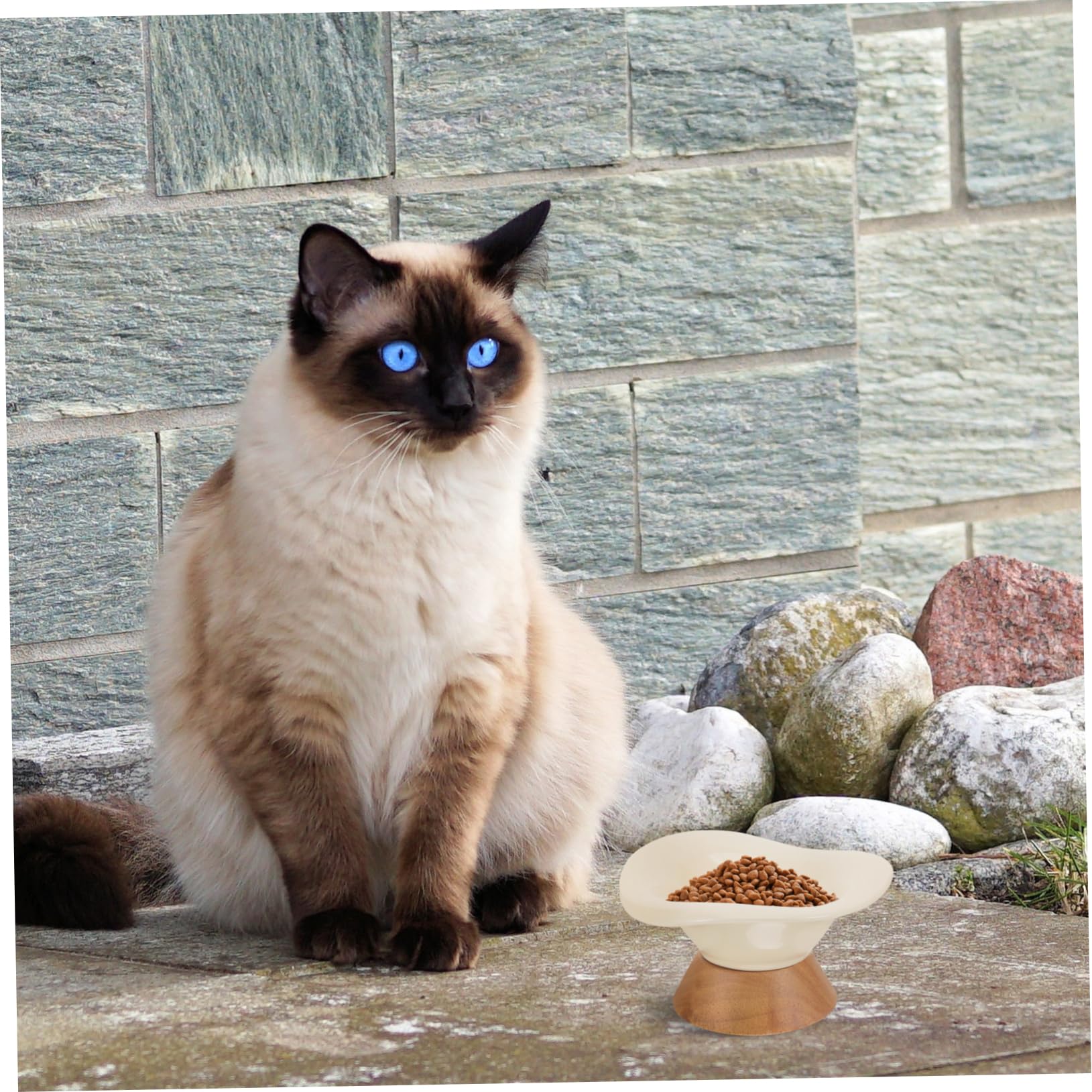 Ciotola per Gatti in Ceramica Piede, Grande Capacità Beige | Bordo Inclinato, Forma Rotonda, Finitura Liscia senza Bave, per Pappa e Acqua di Cani e Gatti