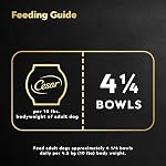 Cesar Wholesome Bowls Adult Wet Dog Food Beef, Chicken, Carrots & Purple Potato, 85g Pack of 10