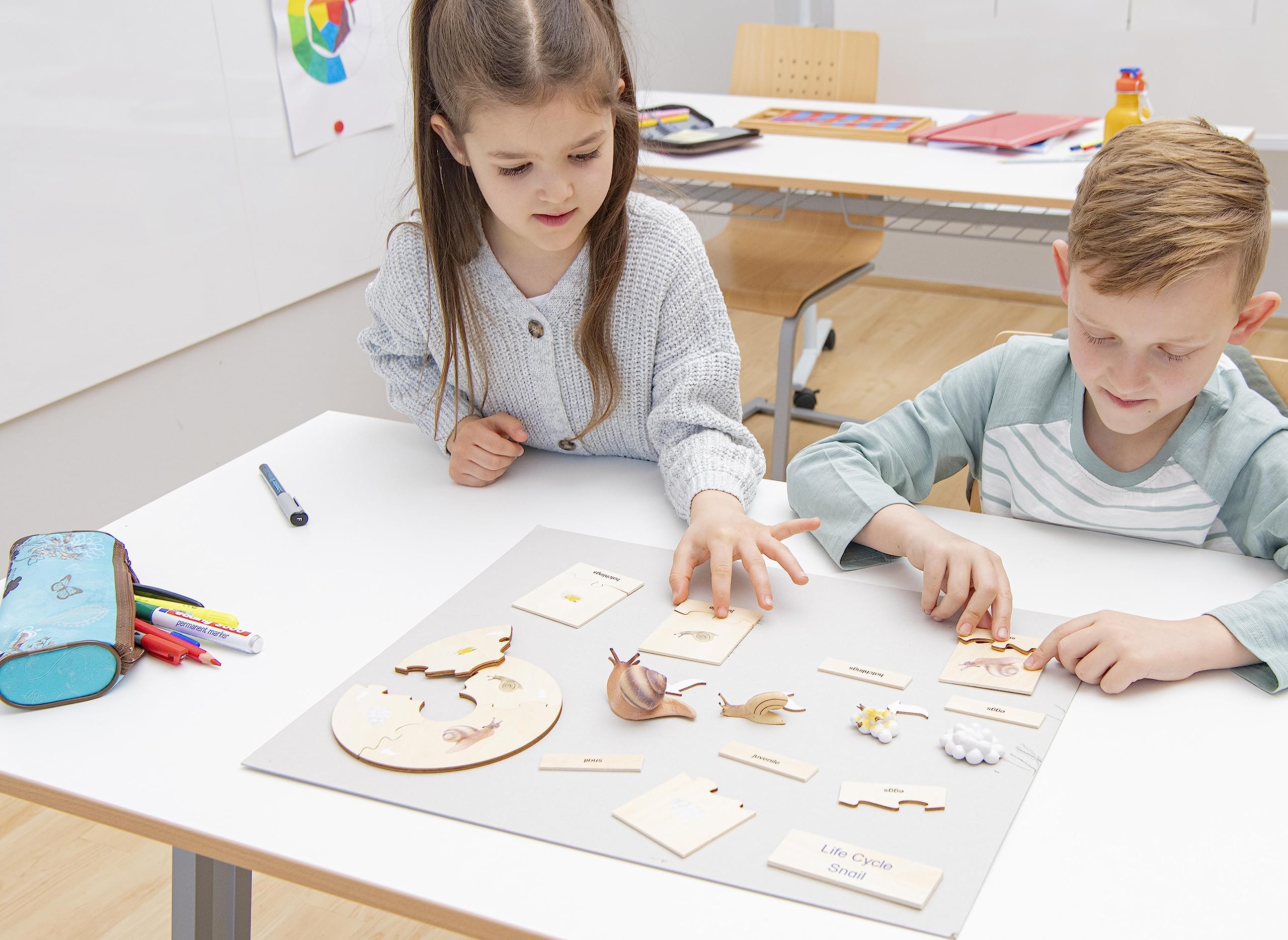 Betzold Lebenszyklus Schnecke - Holz-Puzzle Figuren Textkarten Deutsch & Englisch