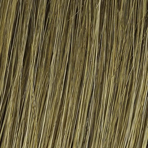 Miniatura 2 de Hairdo Trendy Fringe Just Bangs Hairpiece Add-On, R1416T Tostada con mantequilla