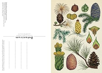 Botanicum & Fungarium 3冊セット Fungarium Postcard Box Set (Welcome to the Museum): Gaya