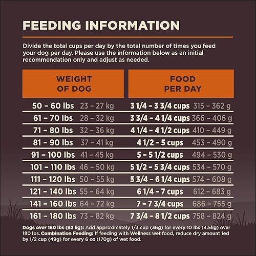 Vista 9 de Comida seca para perro sin granos Wellness Core Natural