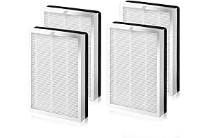 25 Replacement Filter S1 W1 B1 Air Purifier 3-in-1 True HEPA