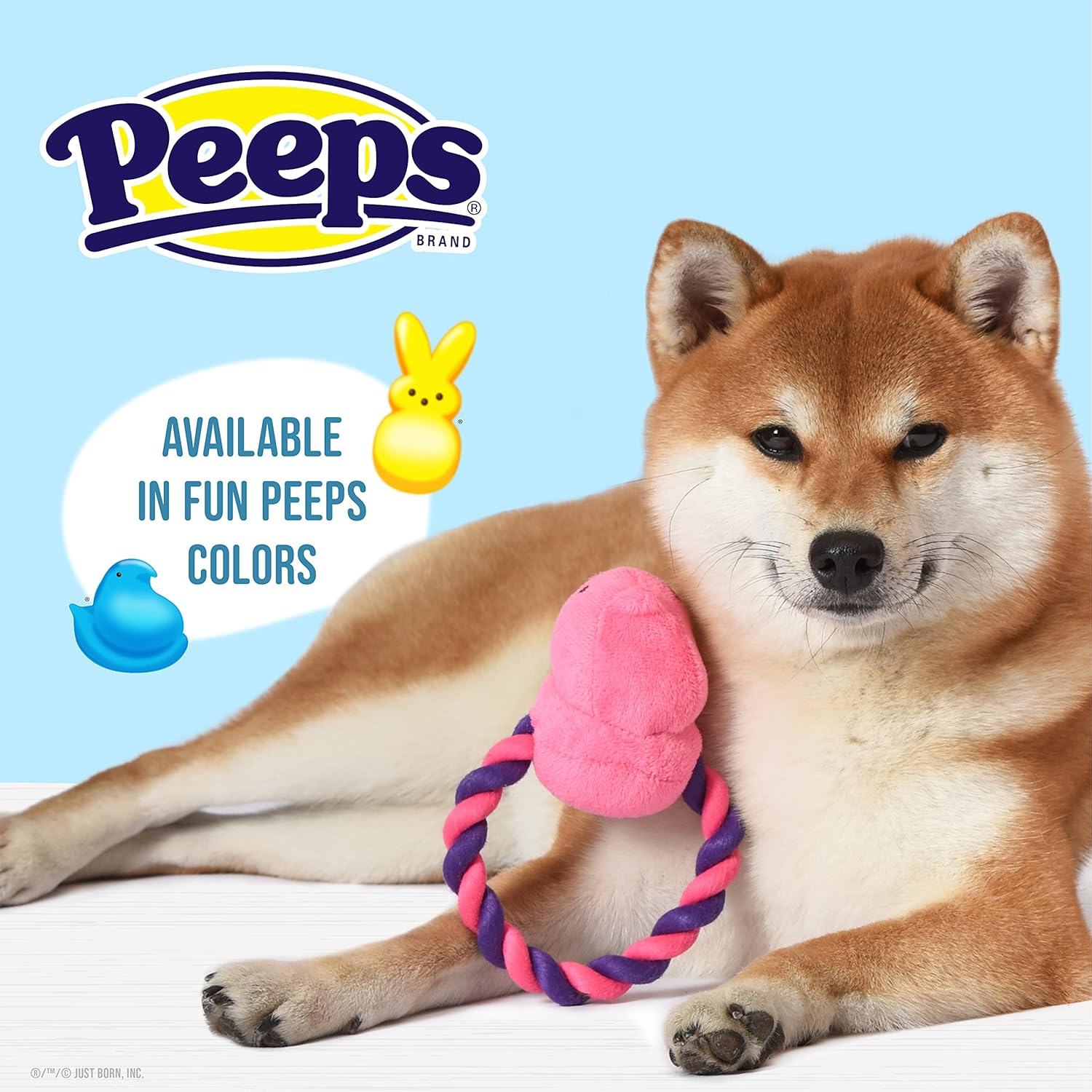 Peeps for Pet ぬいぐるみ ひよこロープ プルトイ 犬用スクイーカー 犬のおもちゃ ピンク/パープル | かわいくてかわ