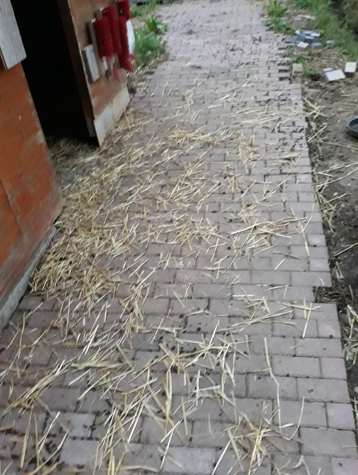 Gerät ist super - Einsatzzweck beachten und man ist glücklich