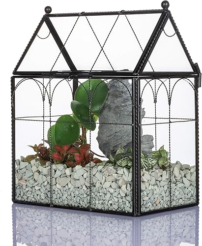 NCYP Terrario de vidrio negro de 7.5 x 4.9 x 9 pulgadas con tapa para caracoles de insectos, maceta geométrica para cactus plantas de aire y