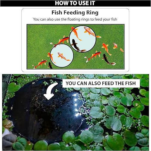 Miniatura 5 de Anillos flotantes para plantas de acuario y anillo de alimentación de peces 3 unidades  Mantén tus plantas en su lugar y fuera de tu filtro