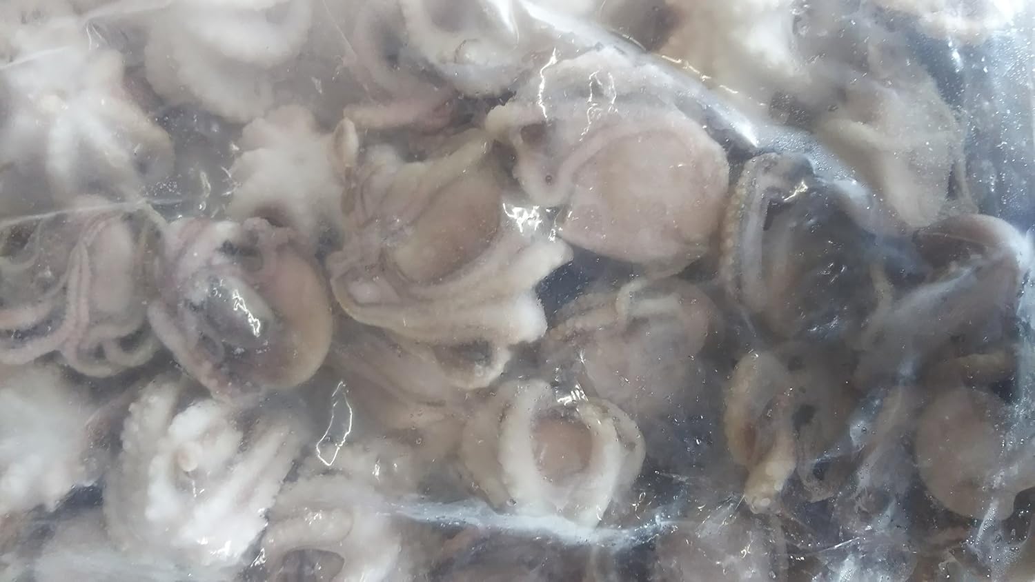 加熱用 いいだこ 飯蛸 イイダコ 1kg Kg26 40個入 冷凍 業務用 Yayoi Good Food タコ 通販 Amazon