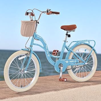 Girl Bike with Basket, 20 Inch Kids' Bicycles for Kids Ages 5-13 Princess Girls Kids Bike-Children Bicycle Single Speed Girls Bikes with Carbon Steel Frame, Multiple Colors
