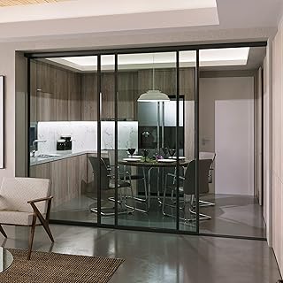 Doors 55 Glass Room Divider Panel and Partition - Perfect Room Separator...