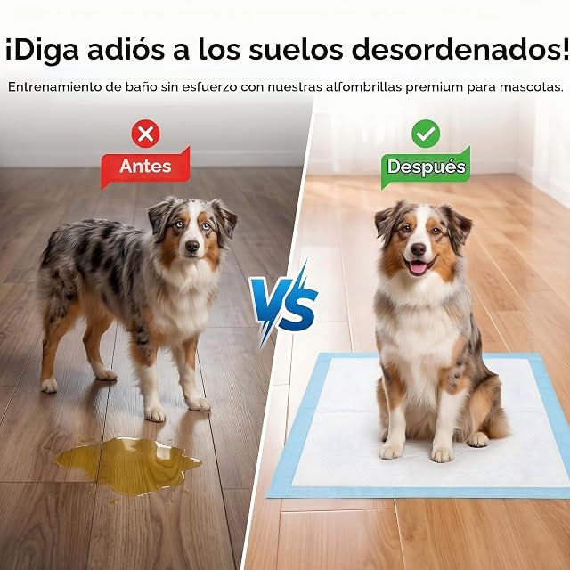 Foto 4 de 7 de 100 Empapadores Perros 33x45cm: Almohadillas Adiestramiento Cachorros