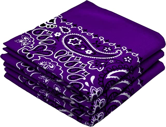 EVERY-VILLE Where EVERYone is Welcome Classic Paisley Bandanas - 3 Pack Gift Set, 100% Cotton, 22x22 Inches