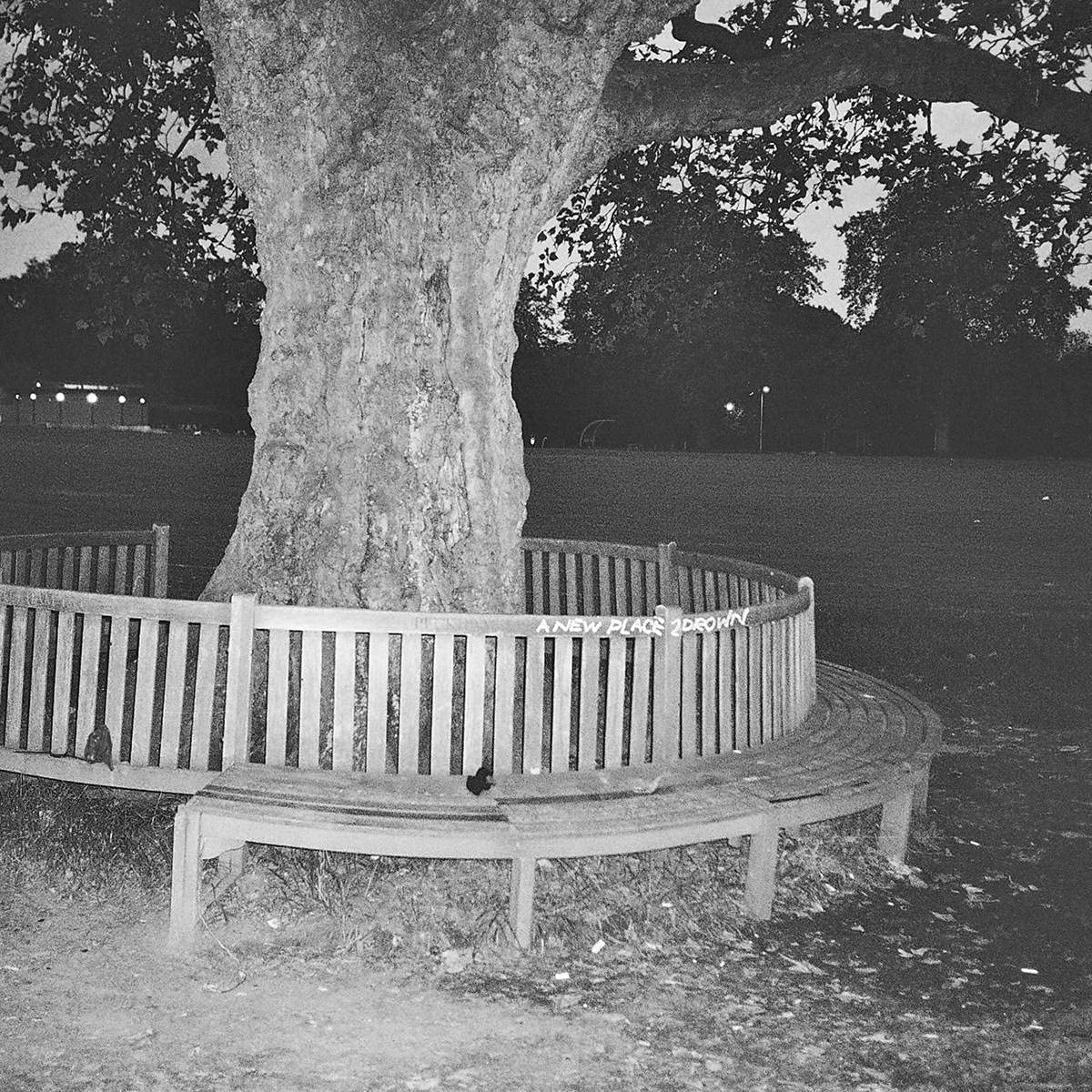 A New Place 2 Drown [VINYL]
