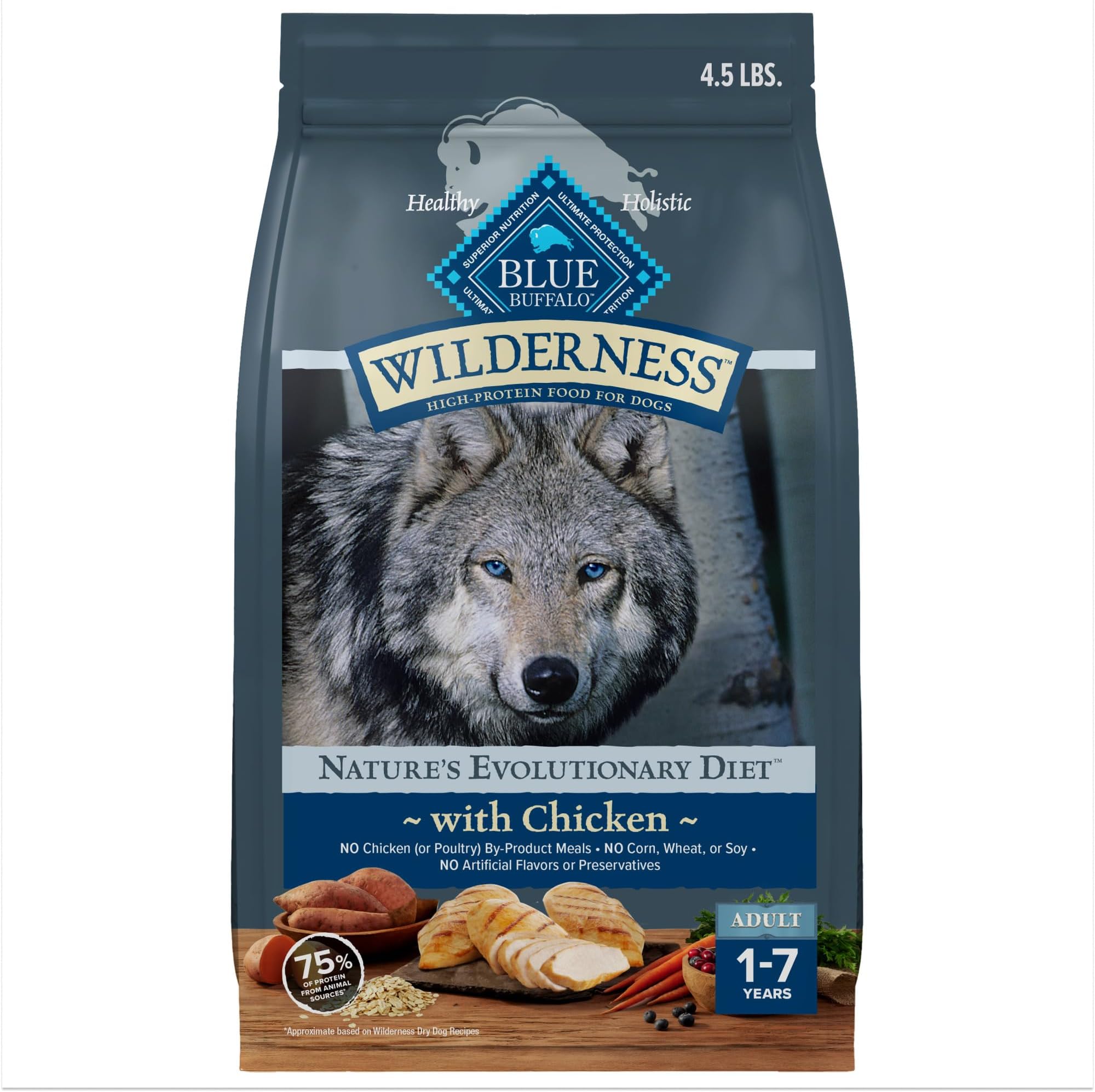Gravy Train Beefy Classic Dry Dog Food, 14Pound Pet Supplies