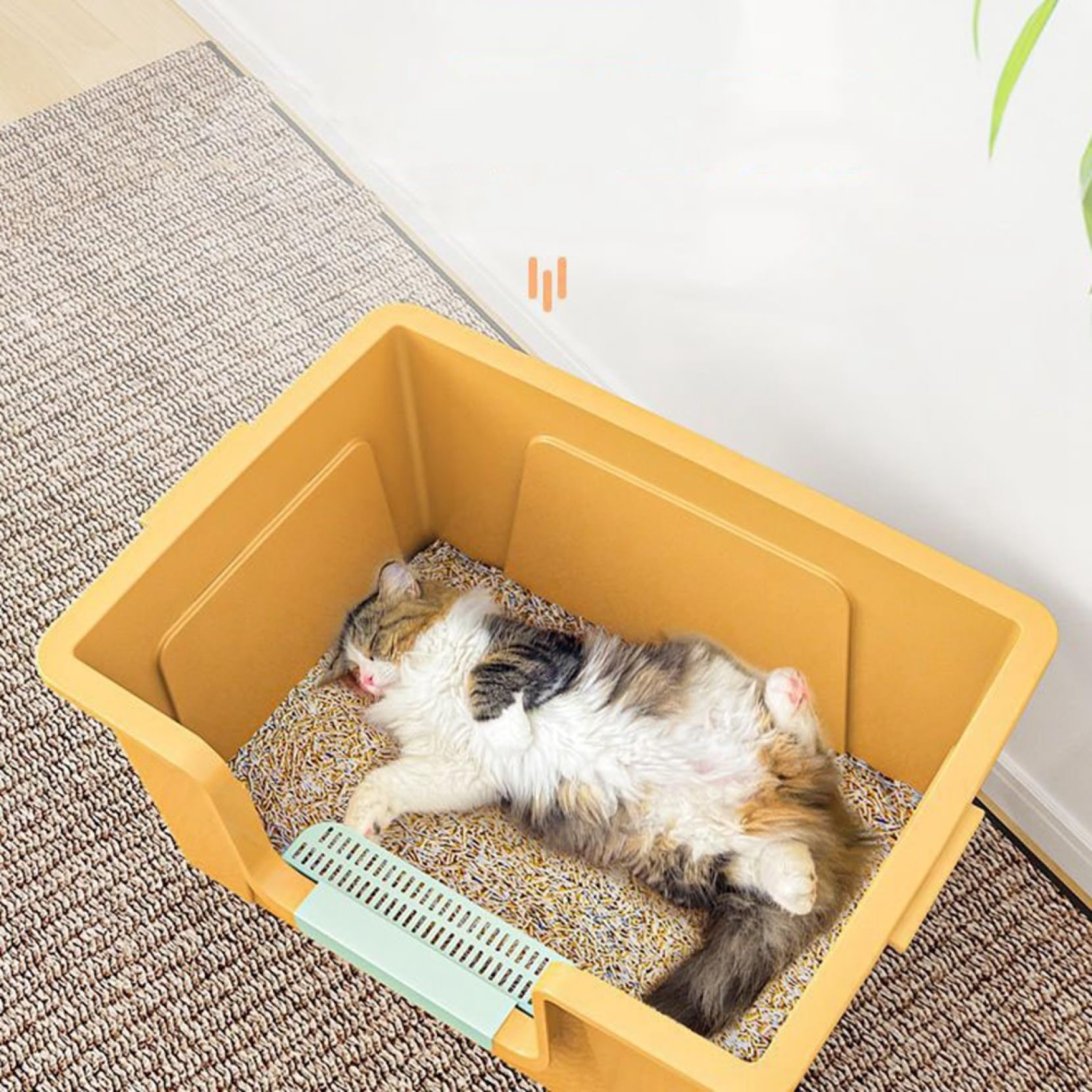 Amazon | 猫トイレ 大型 大型猫 猫用トイレ本体 深め 大きめ ラージ