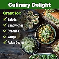 Vista 6 de HOME GROWN Semillas de brote de alfalfa sin OMG, 16 oz (453.6 g) Paquete a granel con miles de semillas de alfalfa para brotes y microgreens