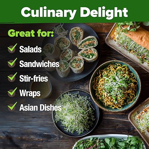 Miniatura 172 de HOME GROWN Paquete de 94 semillas de pimiento de plátano sin OMG, semillas de vegetales tradicionales de alta germinación para plantar en interiores