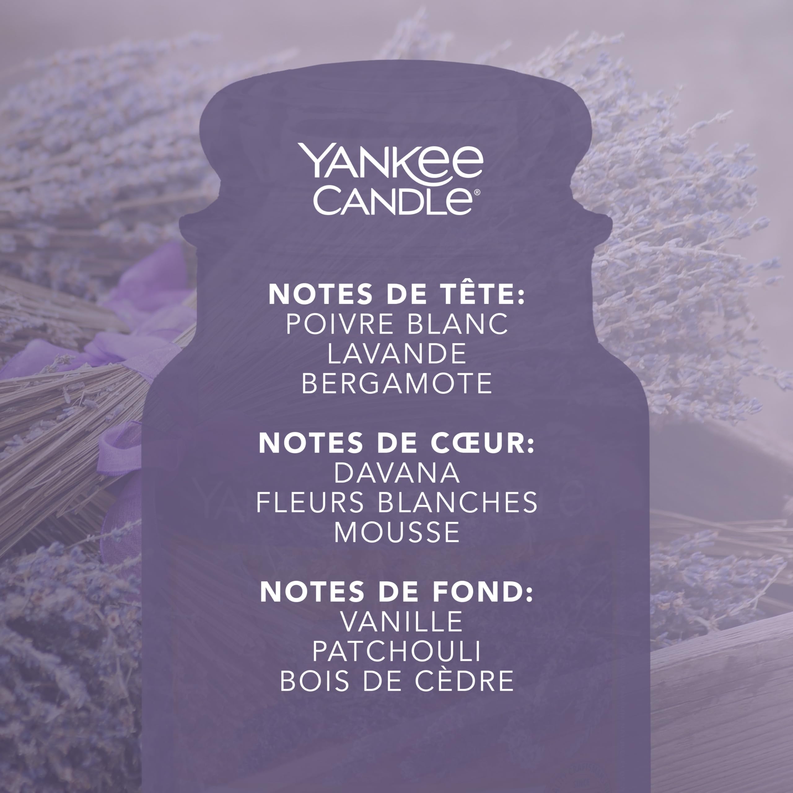 Yankee Candle Bougie parfumée | Grande bougie en pot Lavande Séchée et Chêne | Bougies à combustion longue : jusqu'à 150 heures | Cadeaux parfaits pour les femmes