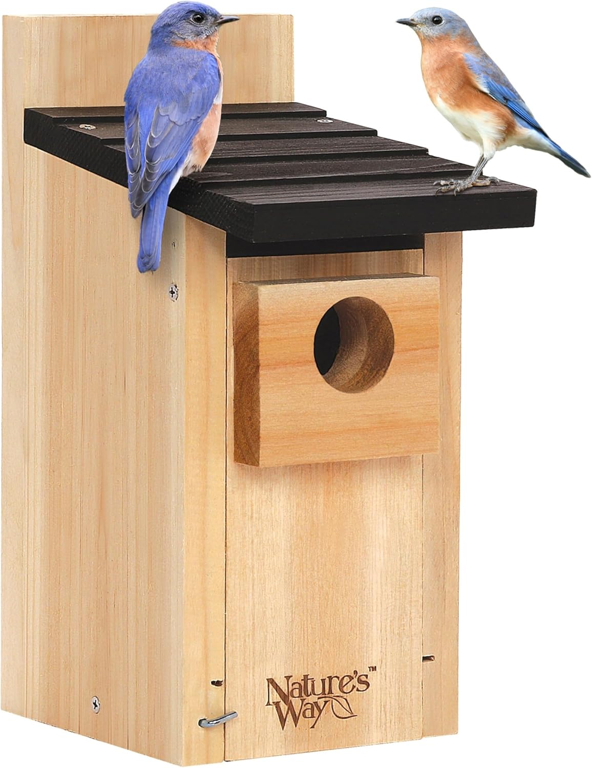 Nature's Way Cedar Bluebird Box House, a well-crafted wooden birdhouse.