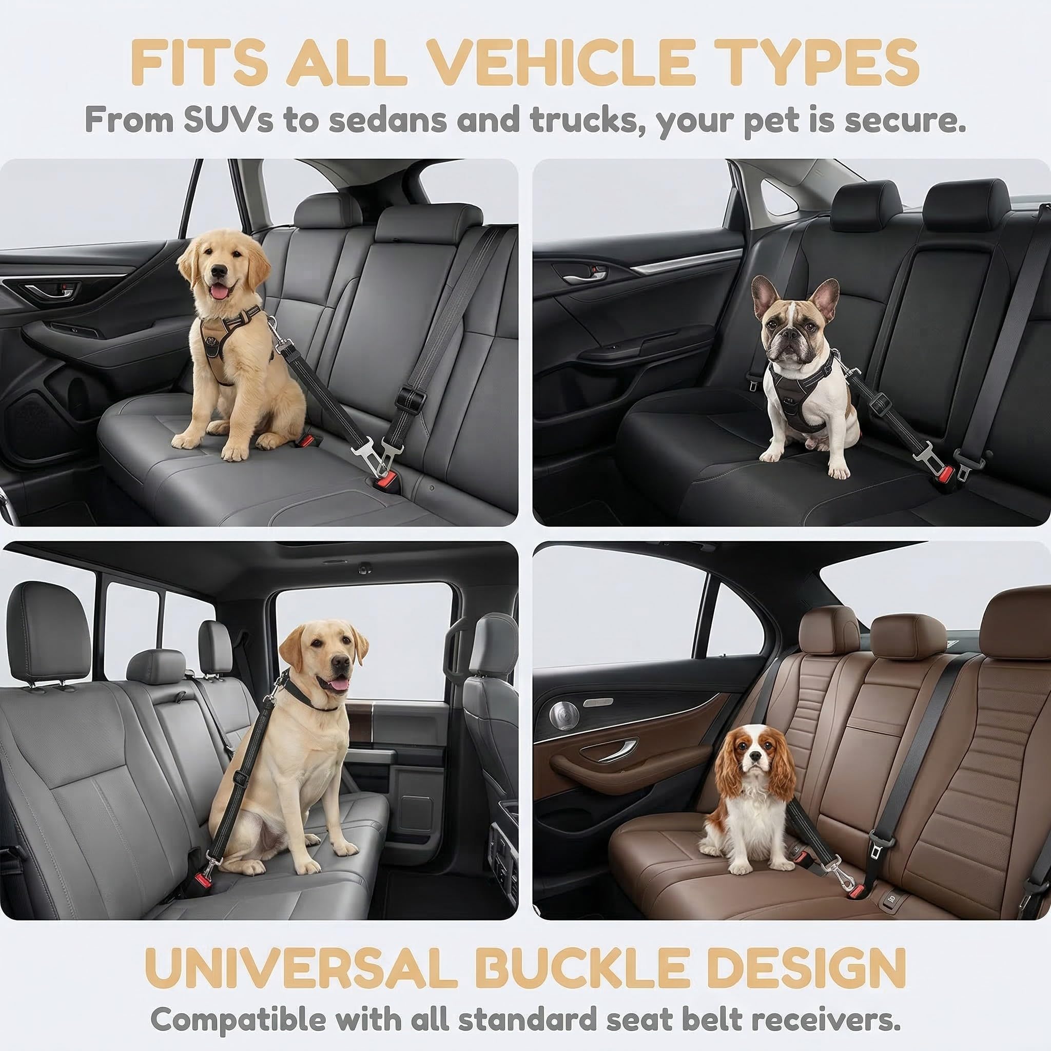 Cintura di Sicurezza per Cani in Auto, Cintura Regolabile Elastica Antishock con Moschettone Robusto, per Cani e Gatti, Nero