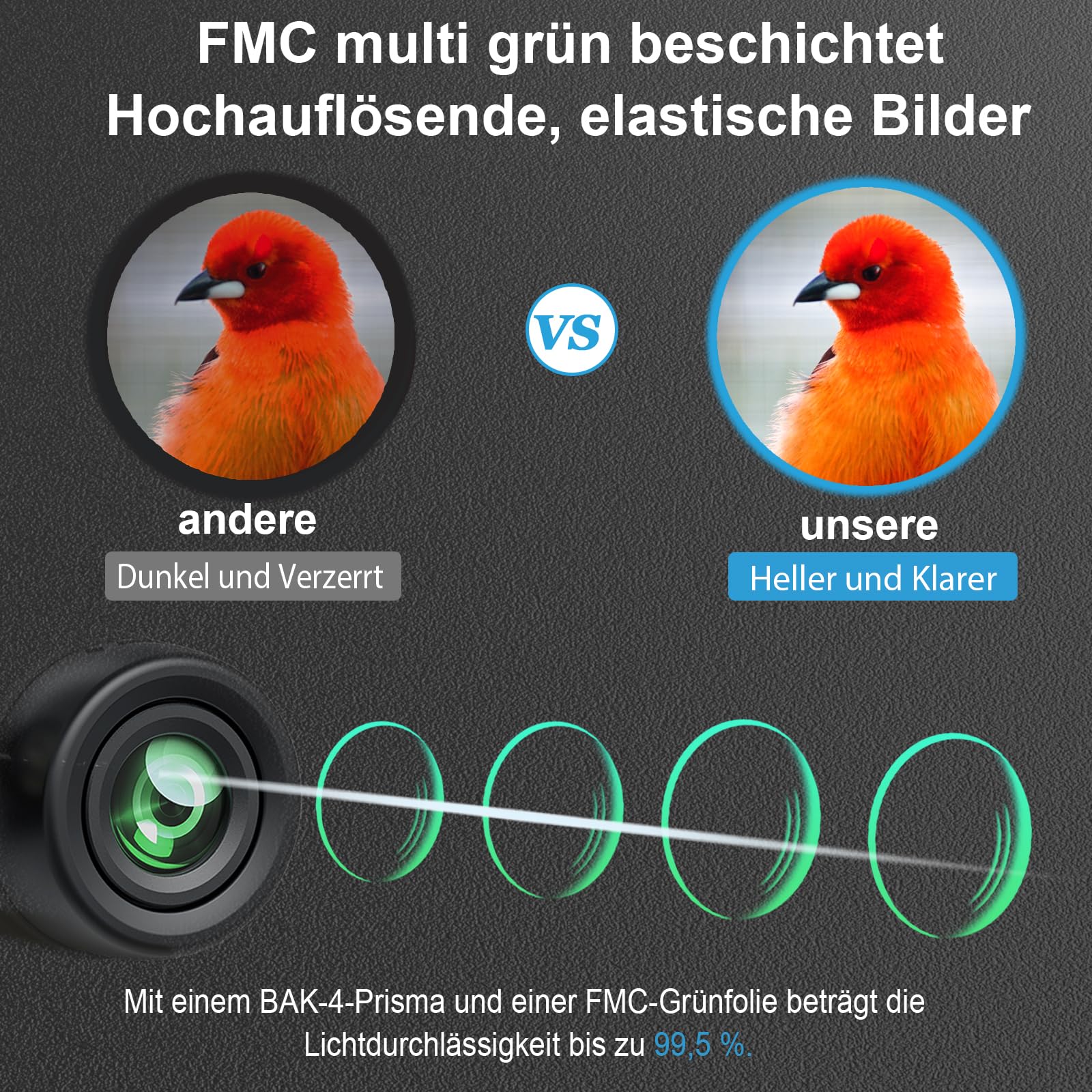 10x42 Fernglas Erwachsene Jagd Vogelbeobachtung: Timorn Ferngläser Wasserdicht mit Trageriemen, Tasche - Leicht Feldstecher für Naturbeobachtung, Tier, Reise, Sport, Konzerte