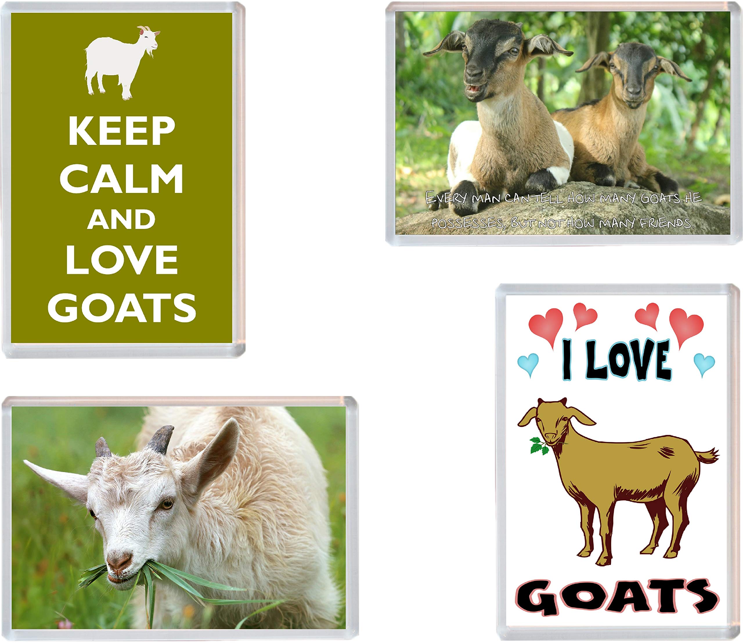 Goat/Goats - 4 PACK - Jumbo Fridge Magnet/Magnets