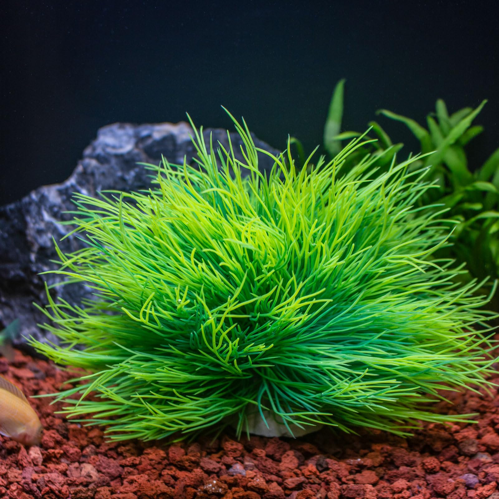 TAOMYPETS Fish Tank Decorations Aquarium Plants Plastic Artificial Décor (Light Green), 4 cm x 3 cm x 3 cm - Image 3