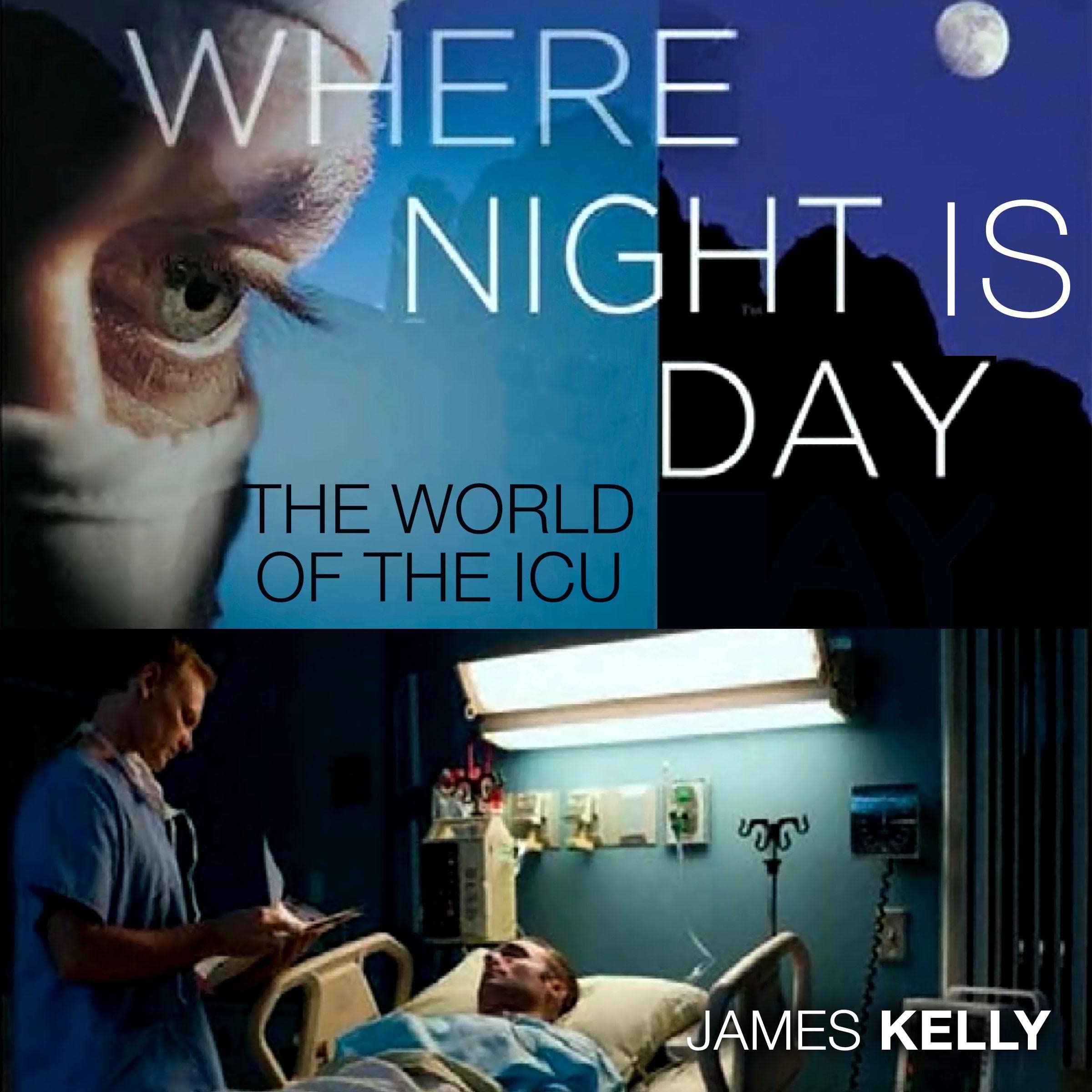 Where Night Is Day: The World of the ICU: The Culture and Politics of Health Care Work