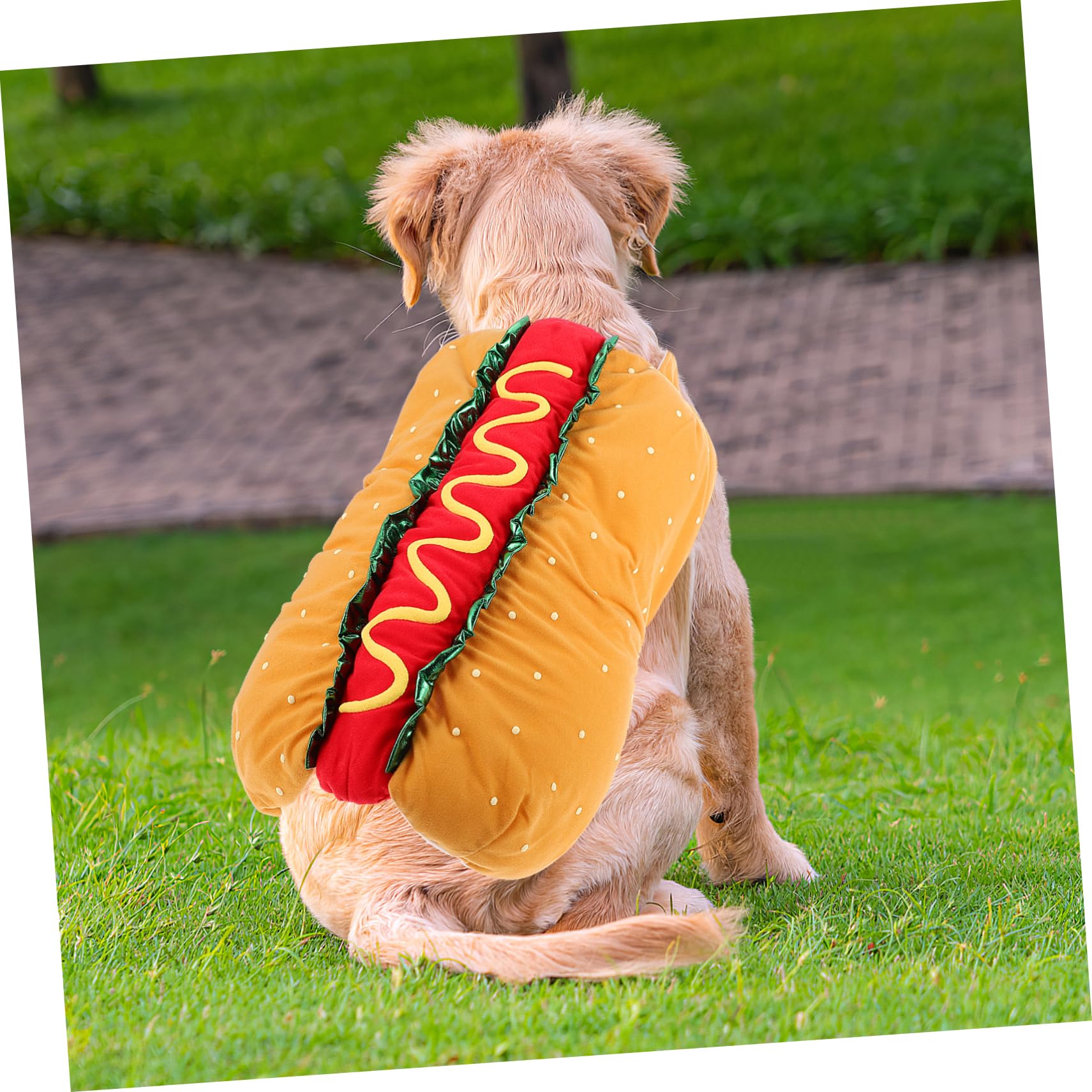 TOYANDONA 1pezzi Costume Natalizio per Animali Domestici Vestiti Decorativi per Cani e Gatti Indumento Facile da Indossare e Togliere per Feste