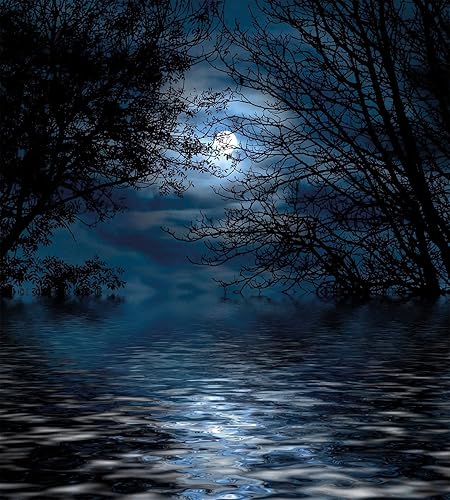 Miniatura 484 de Ambesonne Juego de funda de edredón de brújula, ilustración de mapa del mundo, marinero marítimo, equipo de vida monocromático, juego de ropa