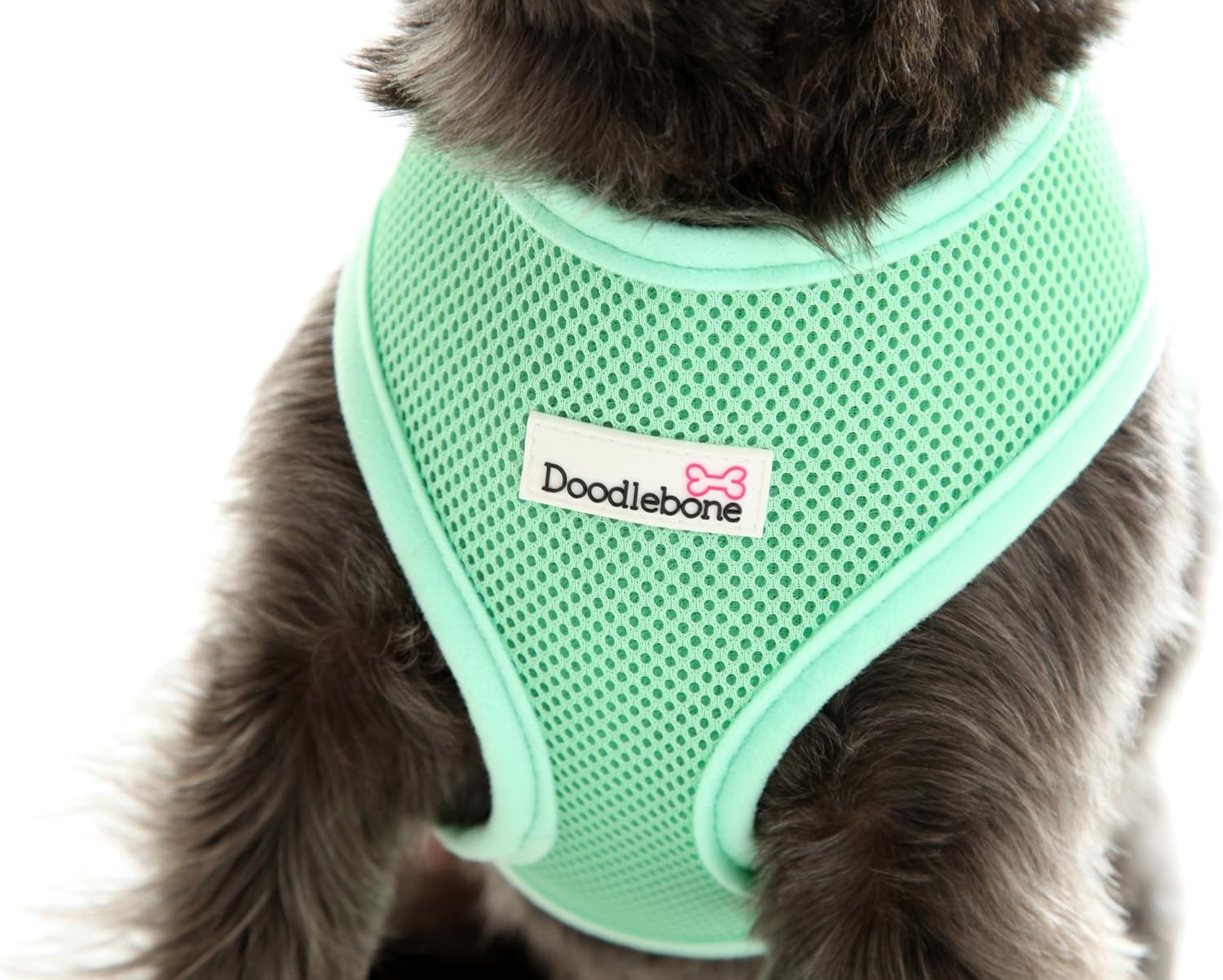 Mint dog harness Clearance