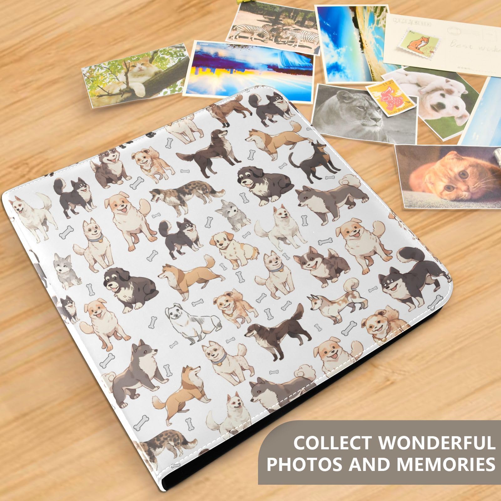 DOGGY BAG 写真集・ツアーパンフレット　 4冊セット DOGGY BAG 写真集・ツアーパンフレット 4冊セット DOGGY BAG