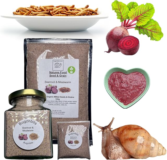 Bugznbits Giant African Land Snail Food, 100% Organic Blend with Beetroot & Meal worm, Also Great for Millipedes & Hermit Crabs (30g Sample pack)