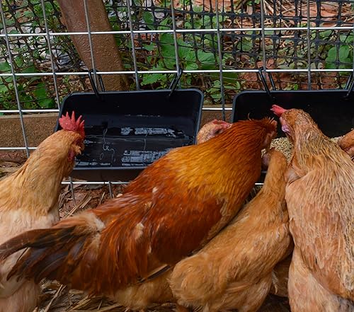 Miniatura 2 de mozoba Comedero colgante de pollo para cabra oveja, ciervo, aves de corral, pato, pollo, cerca, alimentador, ganado, alimentador, cabras,