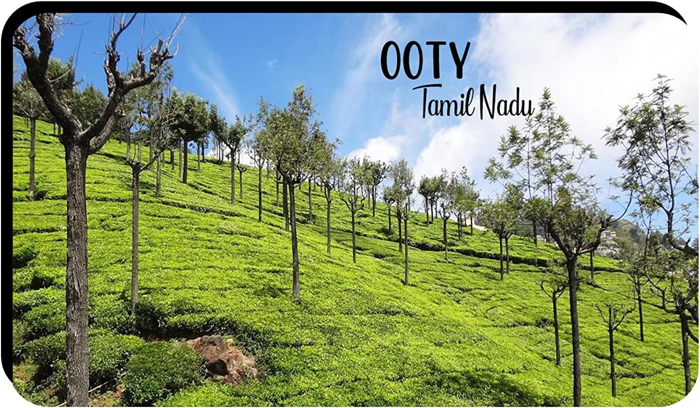 - AVI Rubber Rectangular Fridge Magnet Multicolour Ooty Tamil Nadu Design Travel Souvenir RFM00146