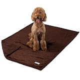 Ver la foto 8