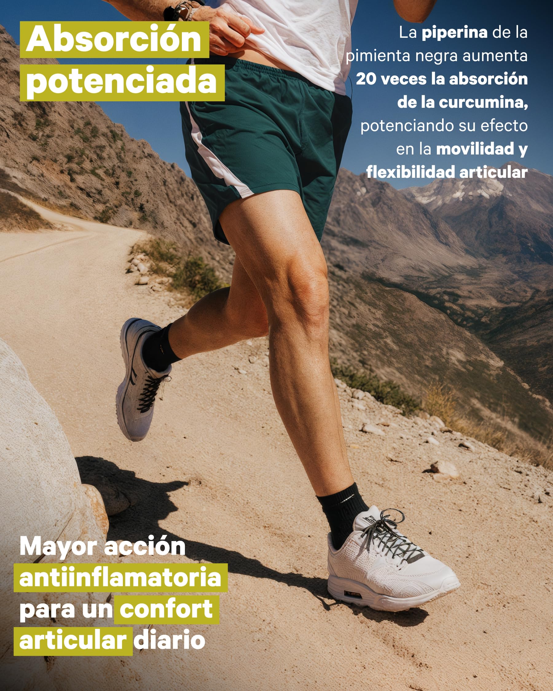 Cúrcuma con Pimienta Negra y Jengibre BIO | 300 Cápsulas | Fórmula Ecológica y Vegana | 1400 mg | Curcumina + Piperina con Alta Absorción | Formato XXL | Antiinflamatorio, Articulaciones y Digestión