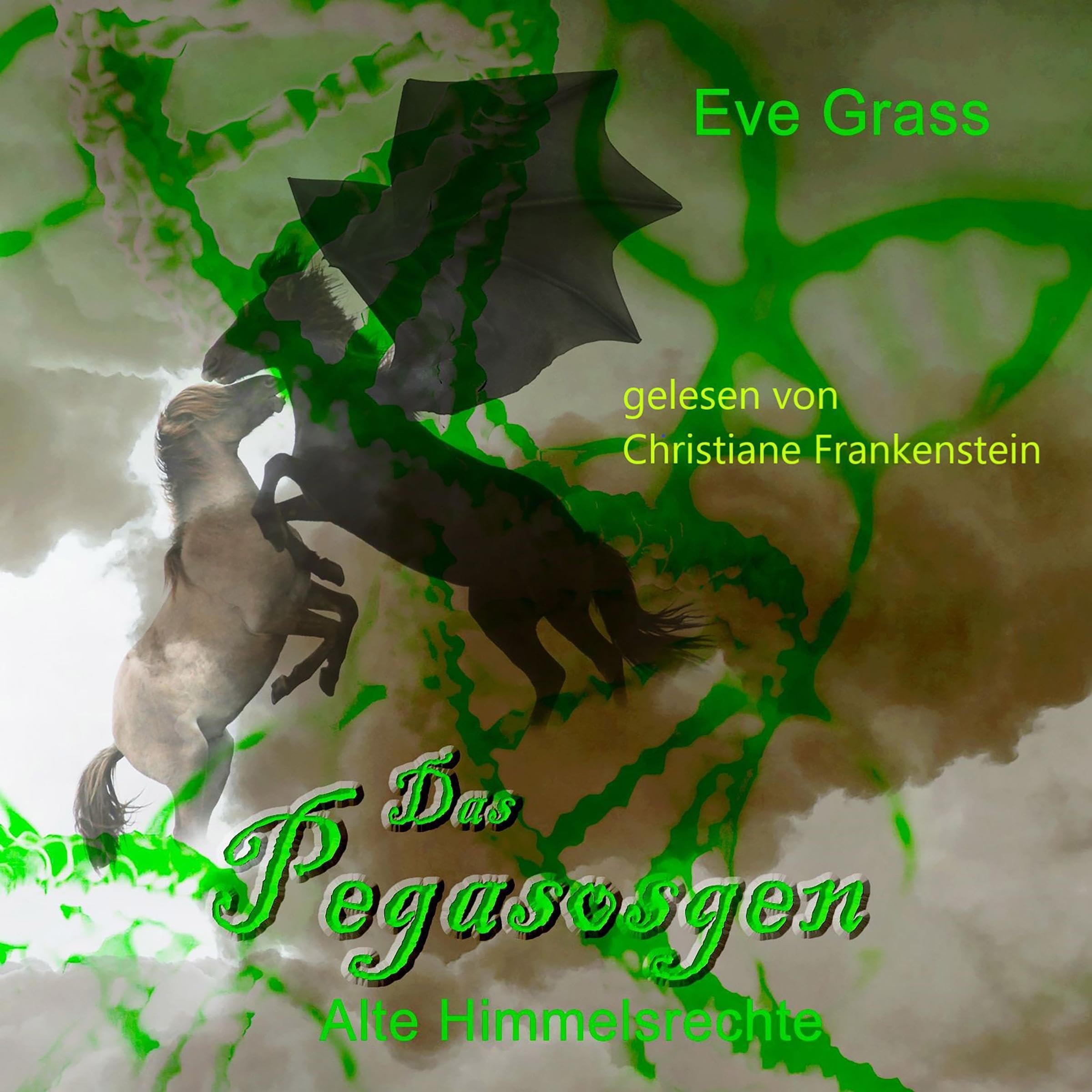 Cover art for Alte Himmelsrechte