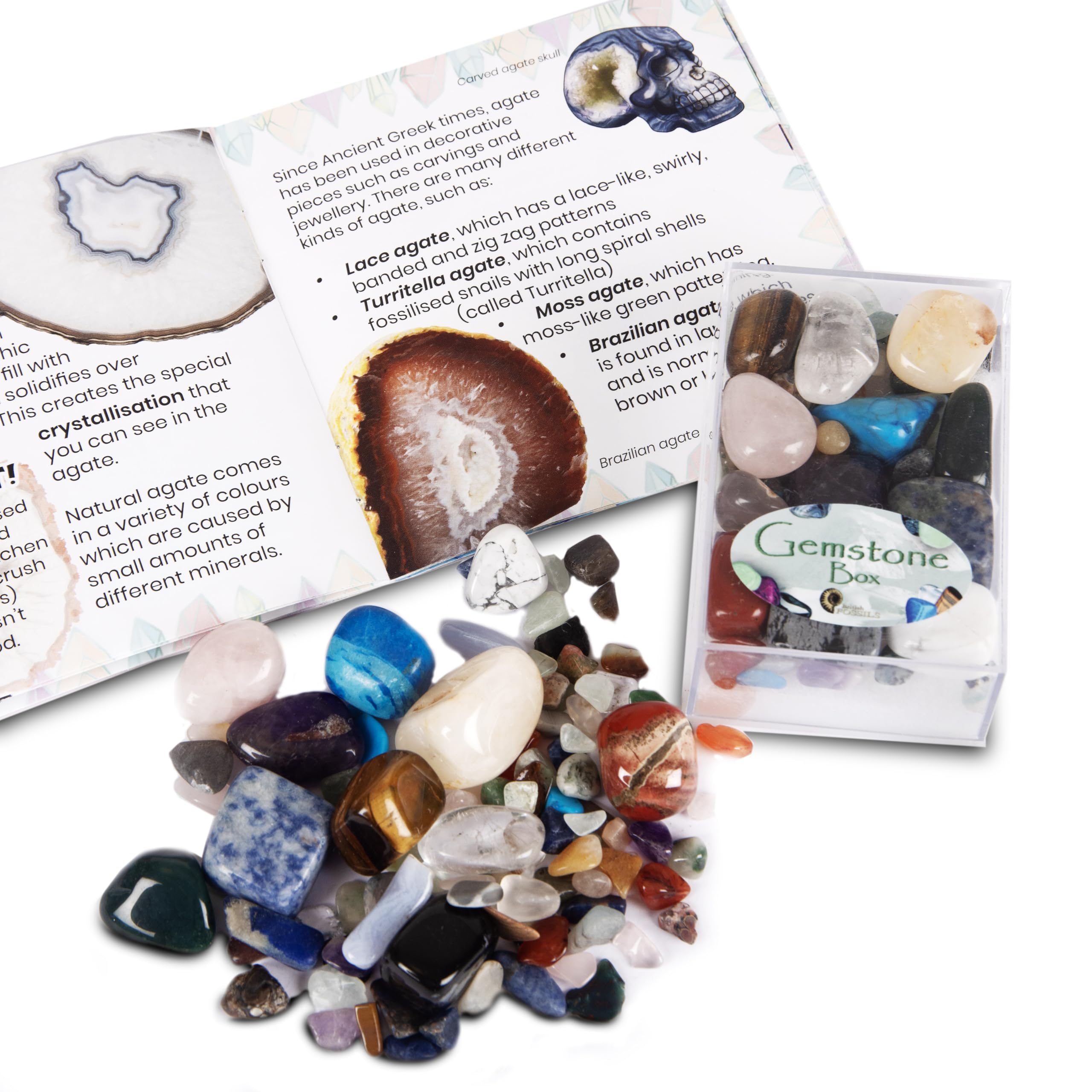 Rock and Gemstone Box - An Amazing Collection of Genuine Rocks and Minerals with Study of Minerals Educational Booklet - Image 2