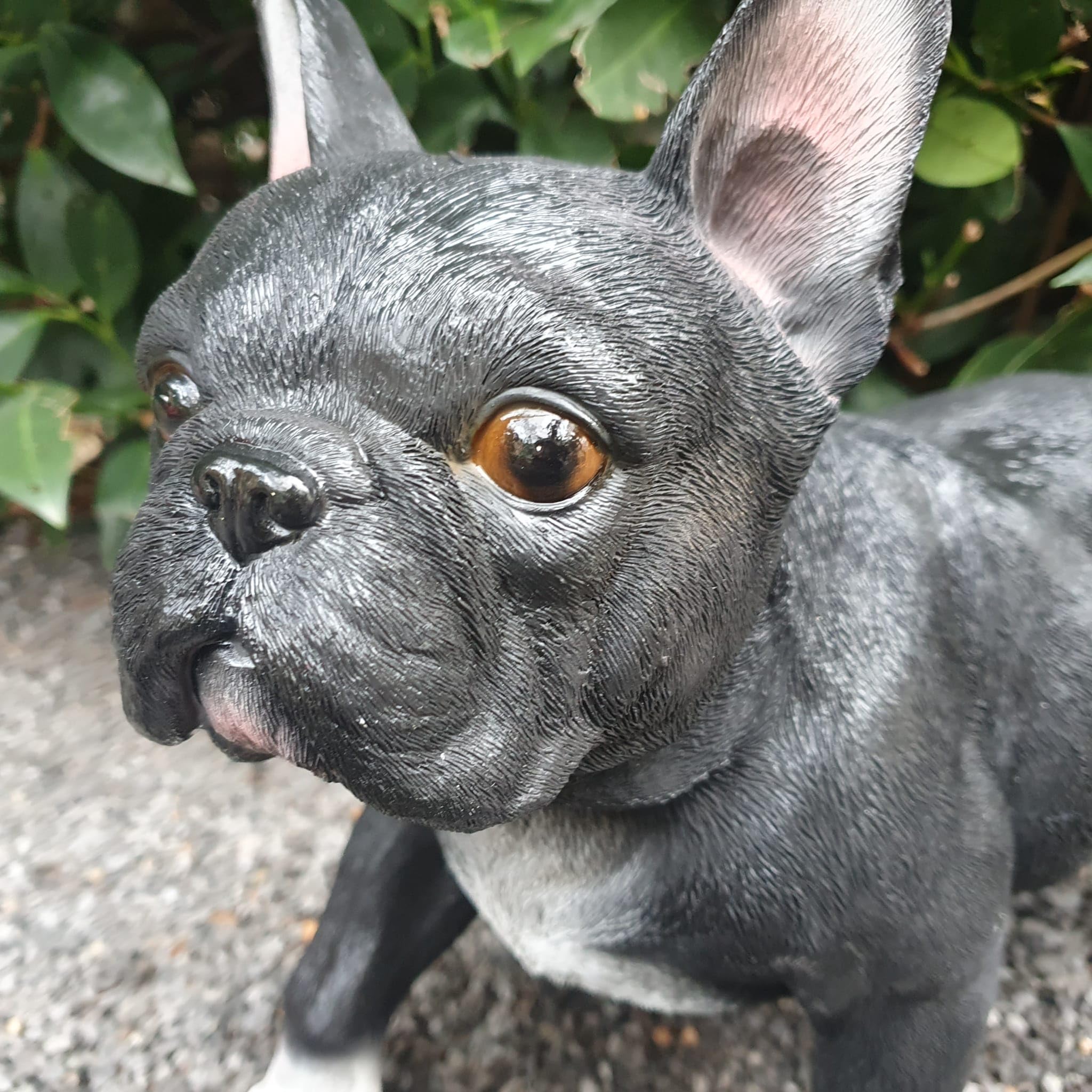 Figurka ogrodowa, buldog francuski, 29 cm, figurka ogrodowa, odporna na warunki atmosferyczne, dekoracja do salonu, figurka psa
