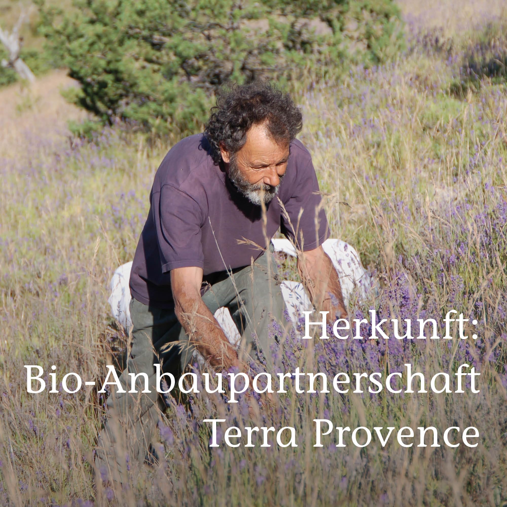 PRIMAVERA Ätherisches Öl Iris 6% 5 ml - Naturreines Duftöl für Aromatherapie - Blumig, Veilchenartig, Tröstend - Vegan