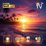 Ocean Beach Sunset 4K – Seagull Calls Big-Screen Chill Display