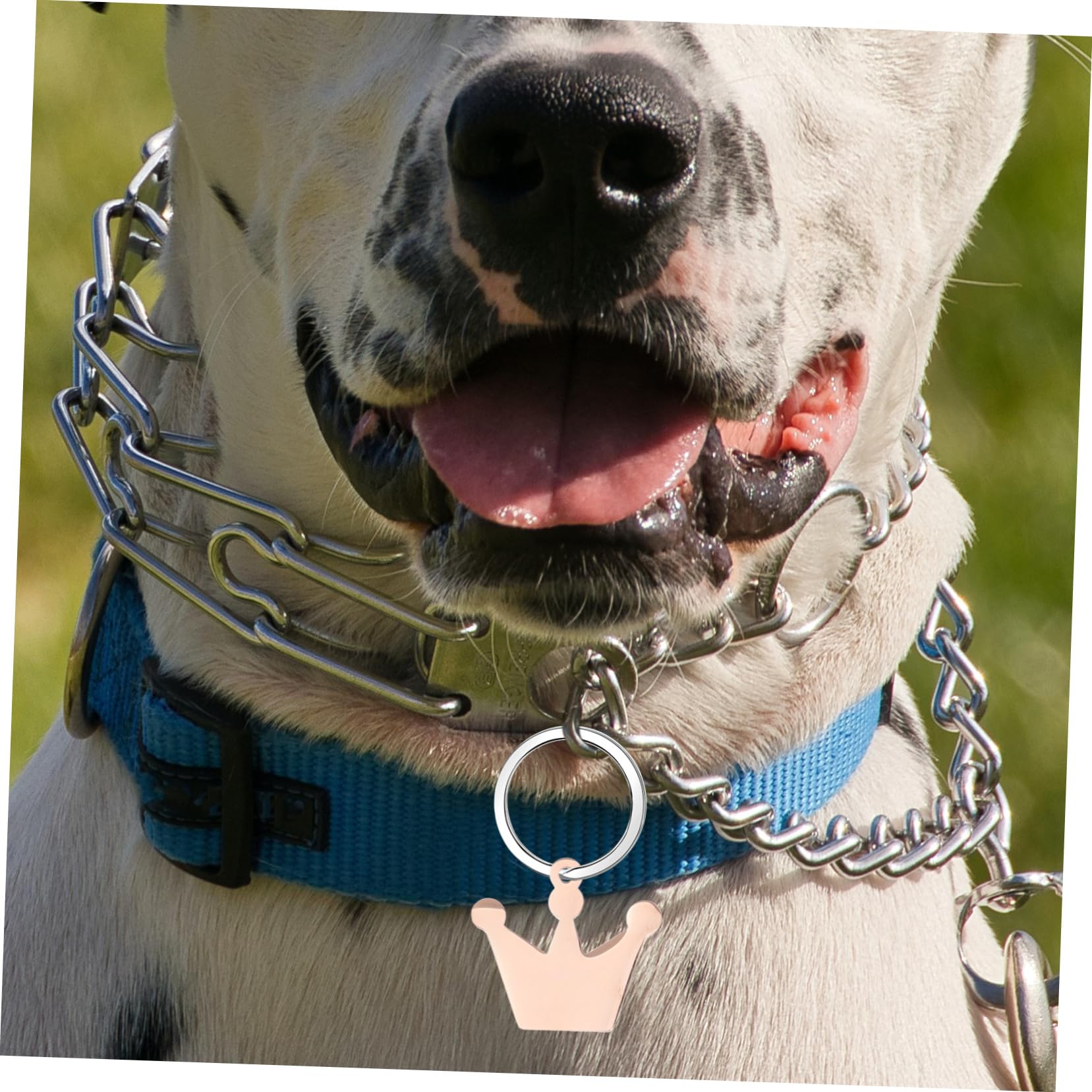 SHINEOFI Pendentif Couronne Breloques D'étiquettes De Chien Plaque D'identification Base De Bricolage Couronne Étiquettes Pour Chiens Métal Rose Gold