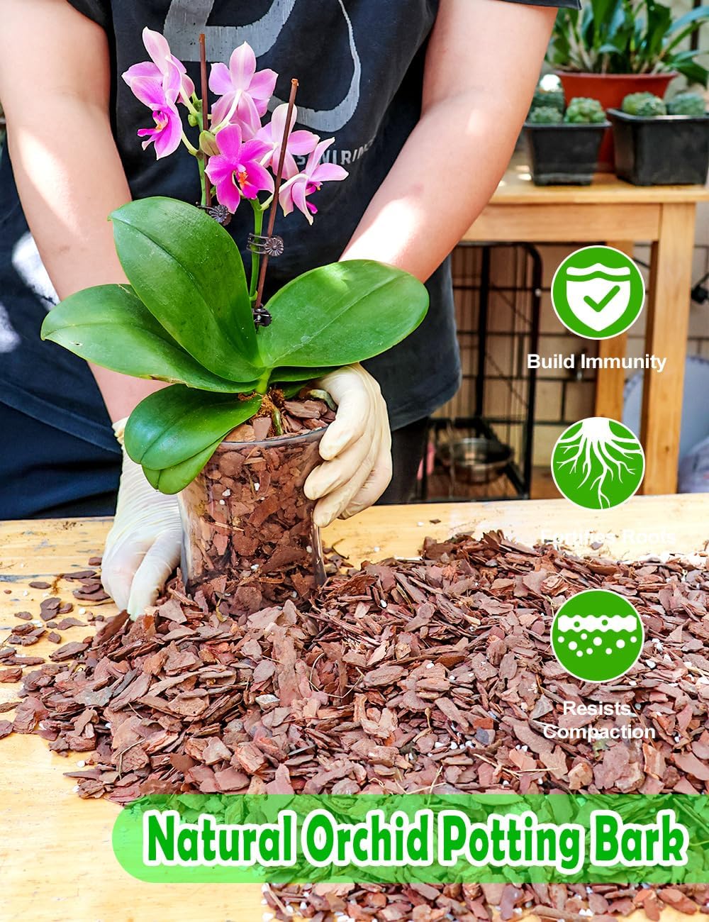 TOYPOPOR Orchid Potting Mix, (10 Quarts)Orchid Bark With Perlite, Potting Soil Medium for Plant Indoor, Pine Bark Wood Chip for Houseplant Fast Drainage, Water Retention, Air Flow and Root Ventilation
