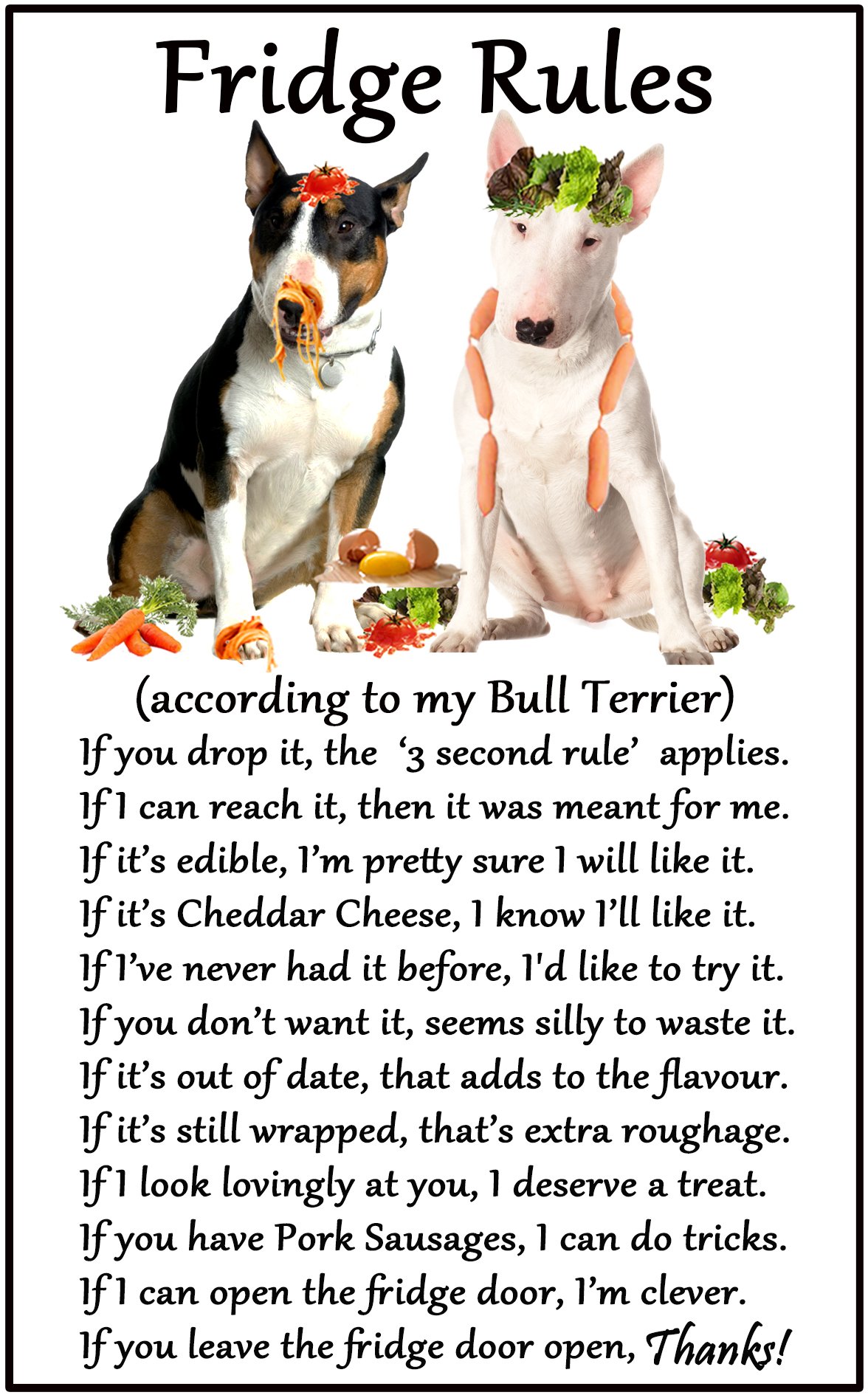 Fridge Magnets White English Bull Terrier Gift - Fridge Rules - Large Fun Flexible Fridge Magnet- Size 16Cms X 10 Cms (Approx. 6" X4")