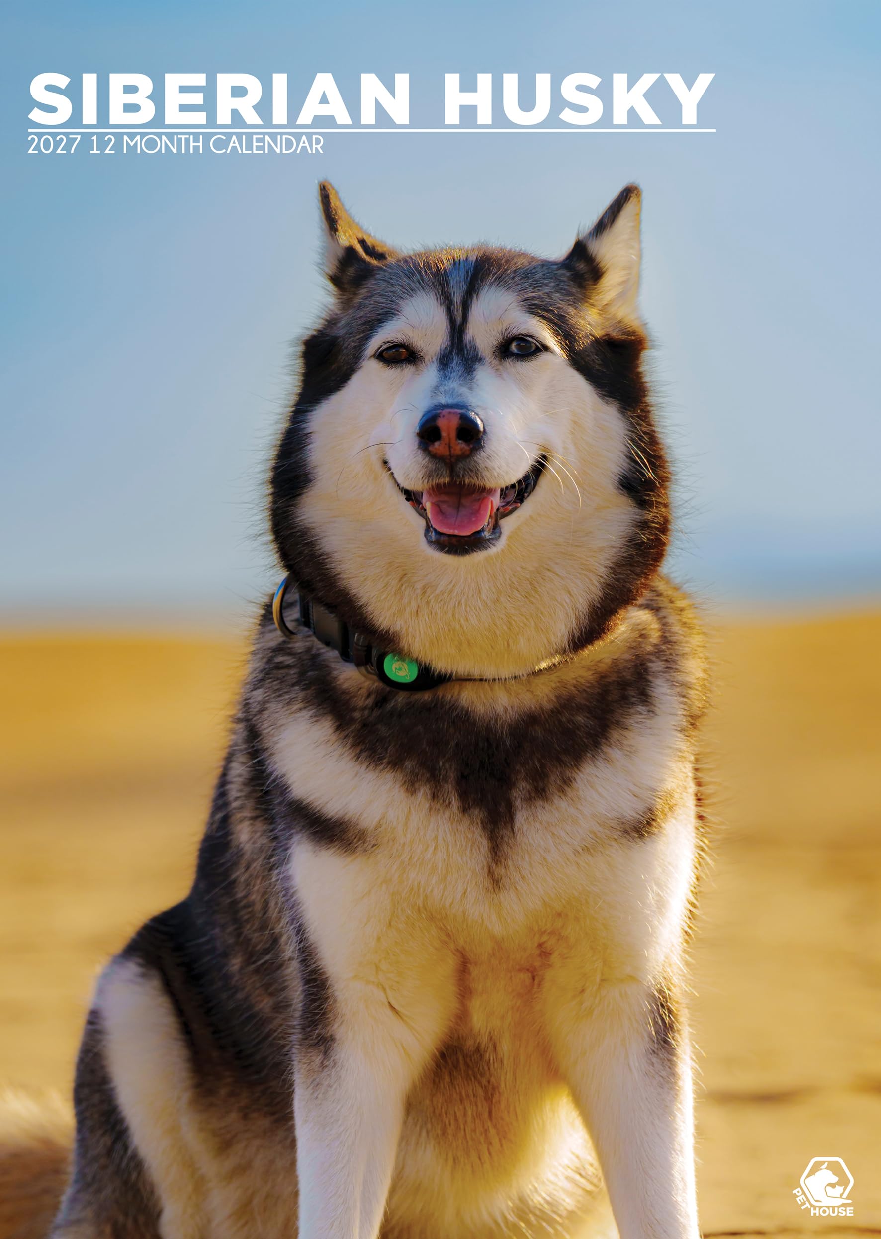 Siberian Husky Dog 2027 Calendar, A3, Full Colour, Wirobound (CRU)