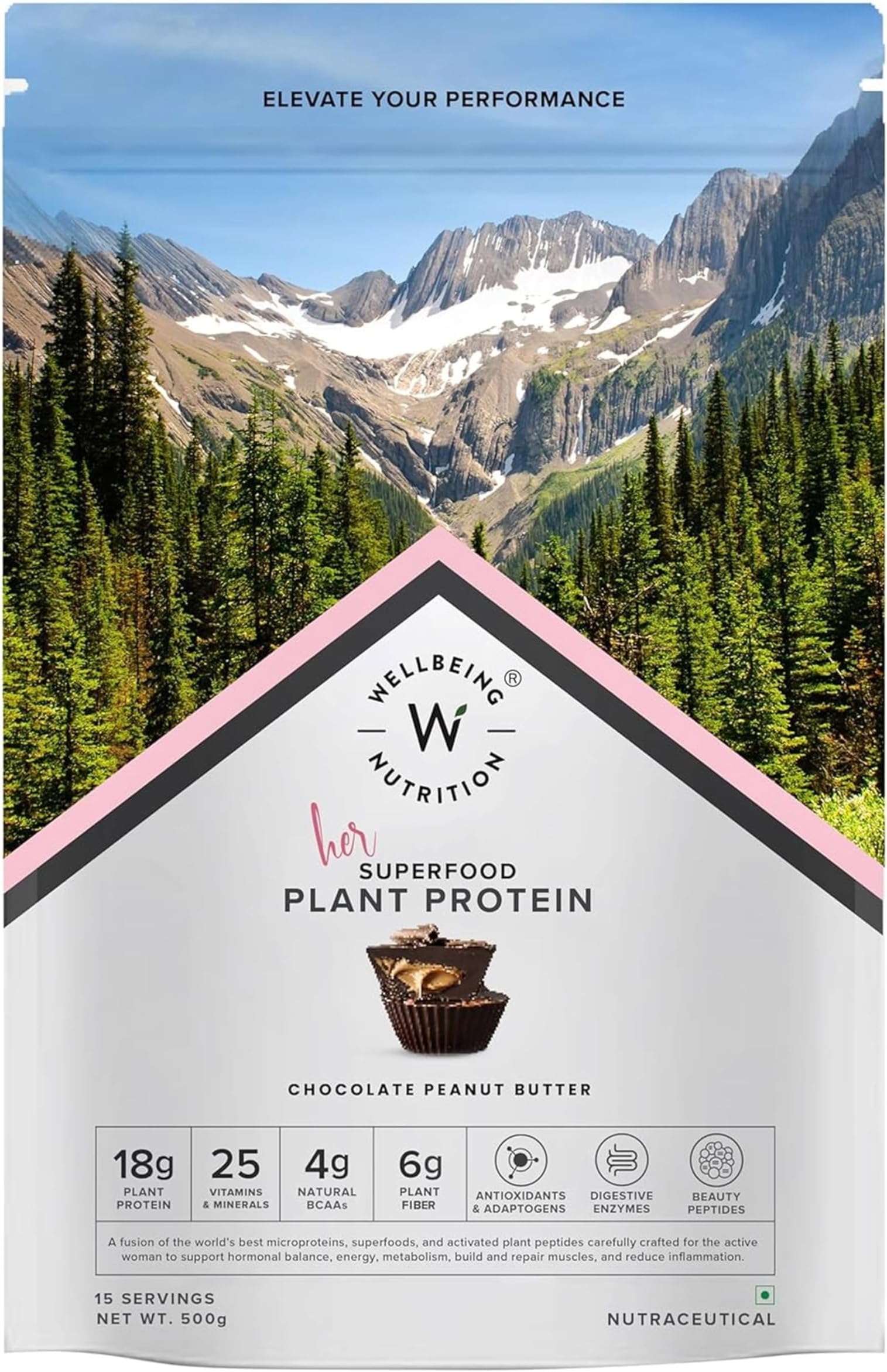 Wellbeing Nutrition Organic Vegan Plant Protein Powder for Women | 4g BCAA & 18g Pea Protein & Brown Rice Protein Isolate for Energy, Growth & Hormonal Balance | Chocolate Peanut Butter - 500gms
