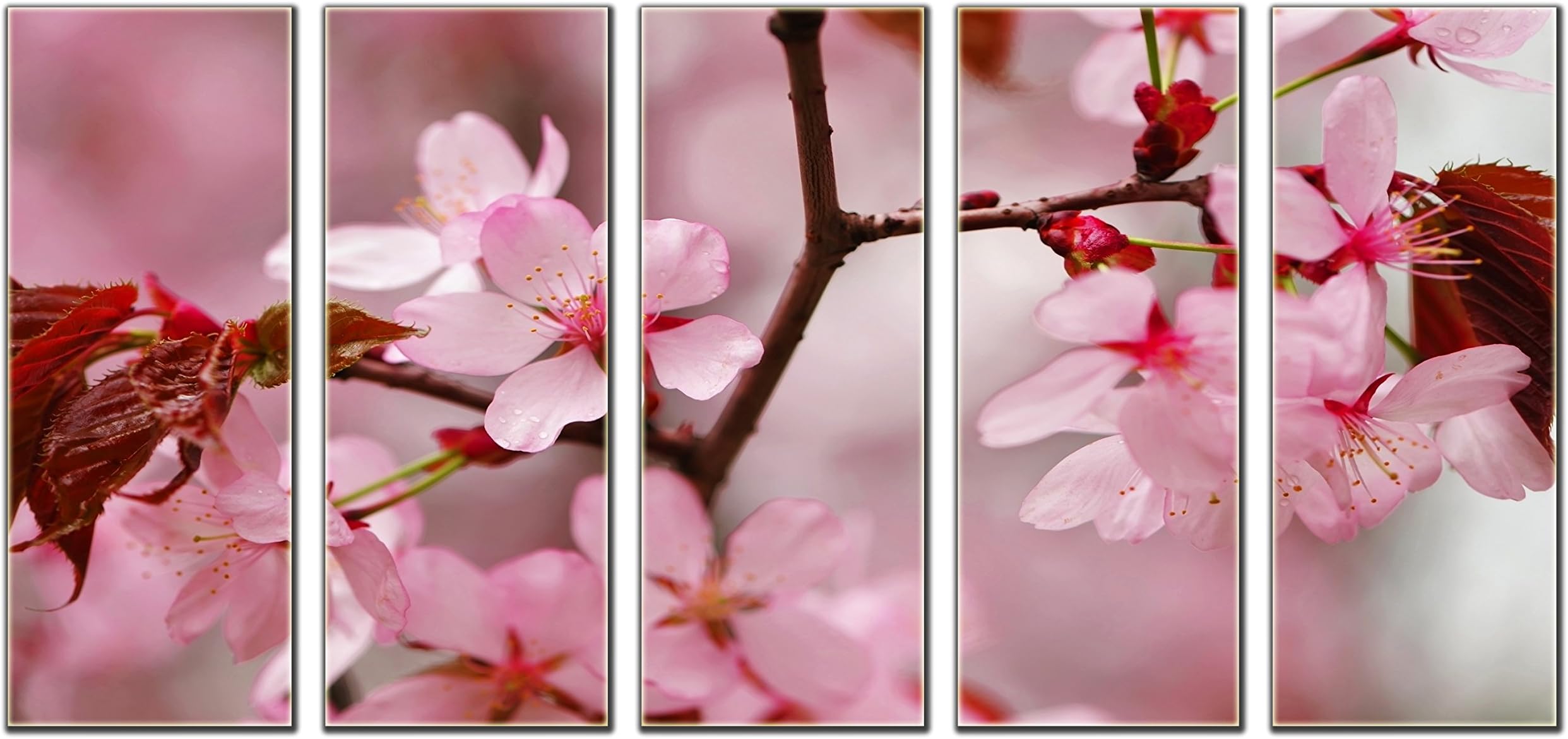 Pink Sakura Spring Flower Print on Canvas Framed and Ready to Hang Modern Home and Office Wall Art Decor Flower Canvas Designs 5 Panel Print Wall Art