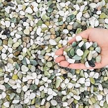 Cedilis 12lb Succulent Jade Pebbles, 3/8 inch Small Rock for Plants